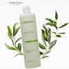 CHRISTINA- Biophyto - Bio-Astringent Complex and Ginger Extract Hydrating Toner - 10.14 Fl.Oz/ 300ml